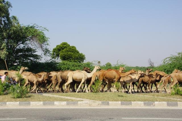 Urlaub in Indien 2016